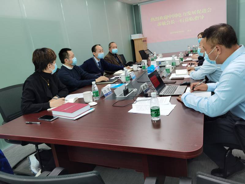 中國電力發展促進會一行到福建億力電力科技有