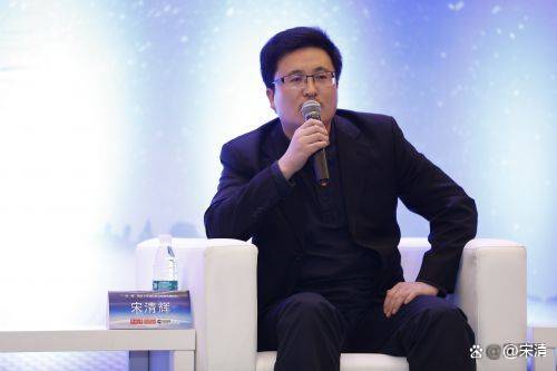 宋清輝：在行業總體產能過剩的情況下 N型產品價格也受到一定影響