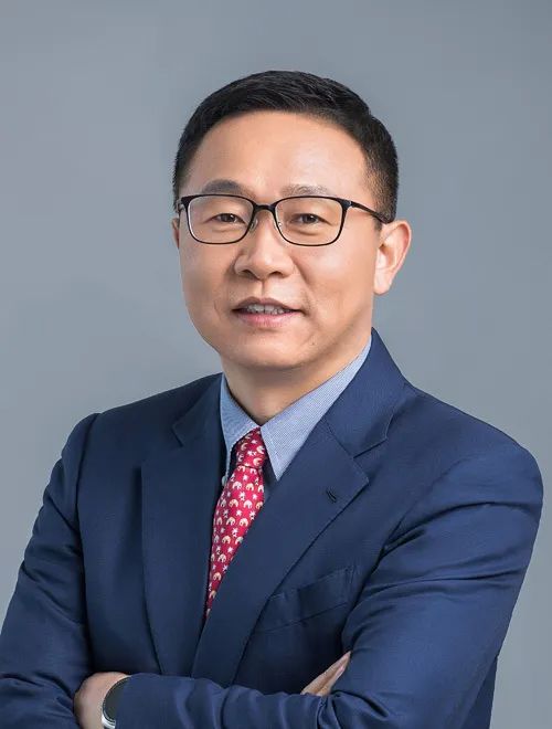 華為汪濤：用數智化技術，解決新型電力系統世界級難題