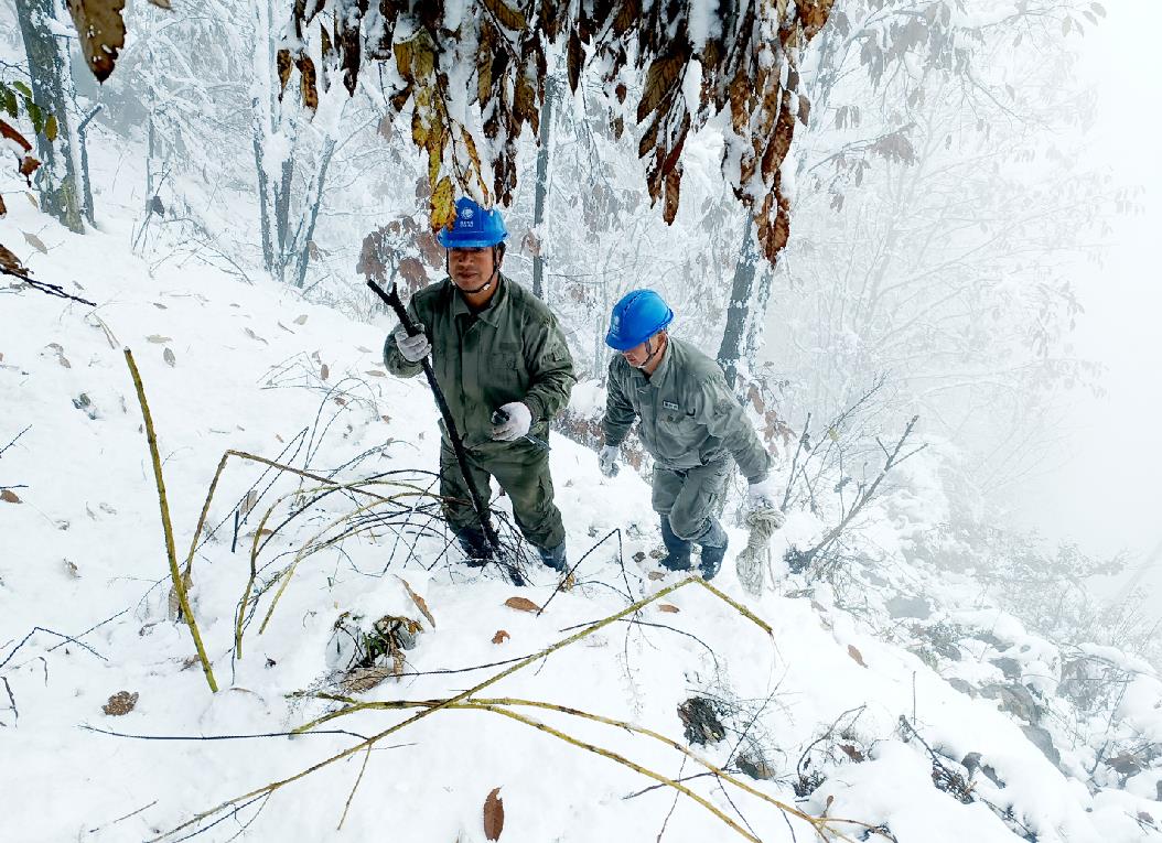 國網鄖西縣供電公司雪后特巡山區易覆冰線路