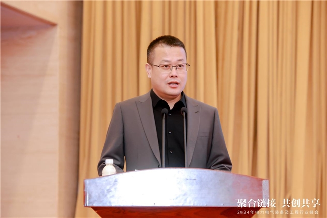 段玉龍：電力行業的引路者