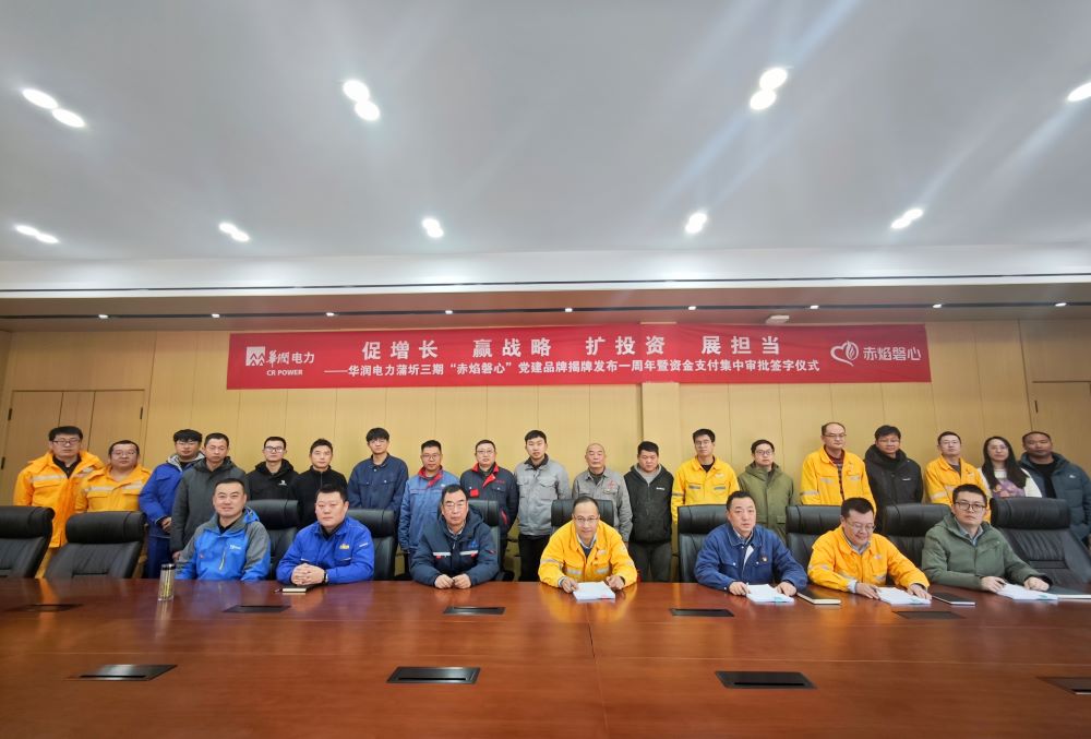 華潤電力湖北有限公司開展“促增長 贏戰略 擴投資 展擔當”主題黨日活動