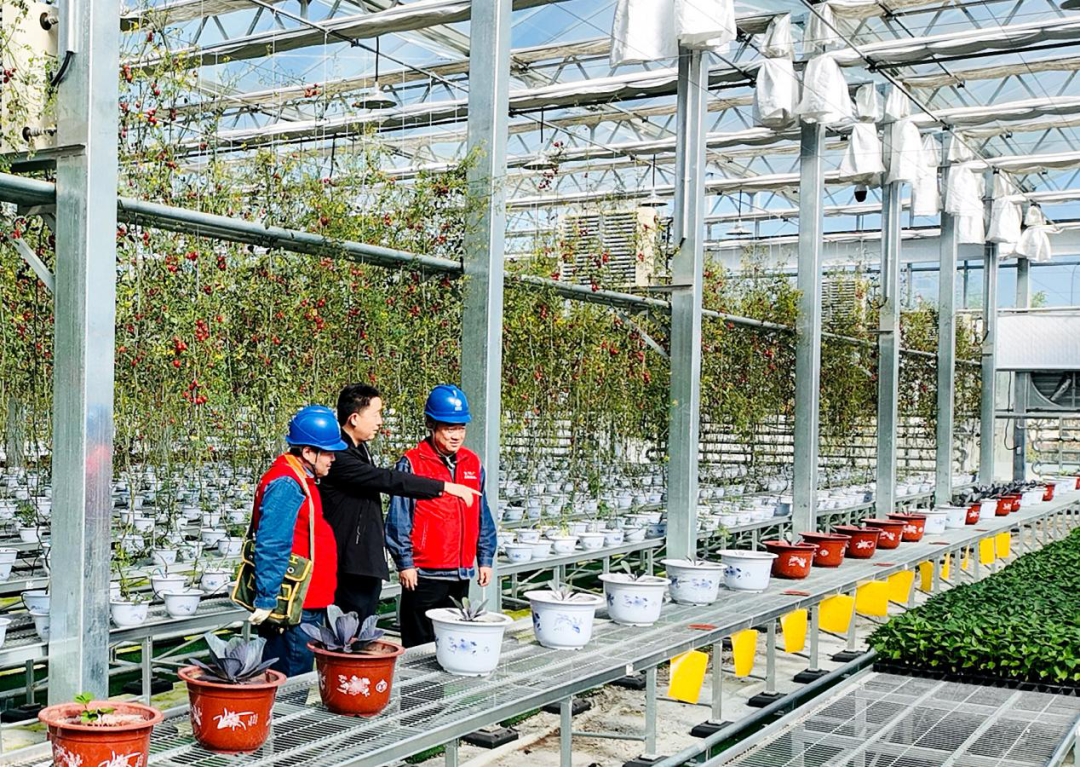 國網臨夏供電公司春耕春灌電滿格 鄉村振興動力足