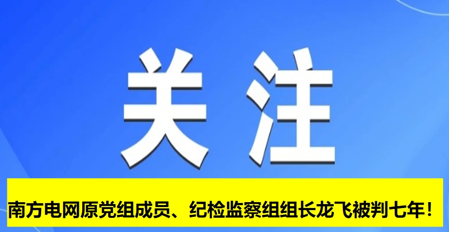 南方電網原黨組成員、紀檢監察組組長龍飛被判七年！