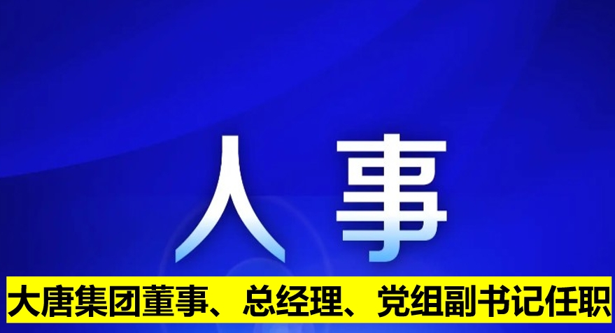 大唐集團董事、總經理、黨組副書記任職